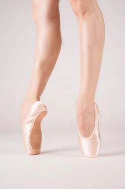 Pointes Repetto Alicia T140 Dureté Moyenne -Repetto Soldes Boutique pointes gaynor minden europa sculpted